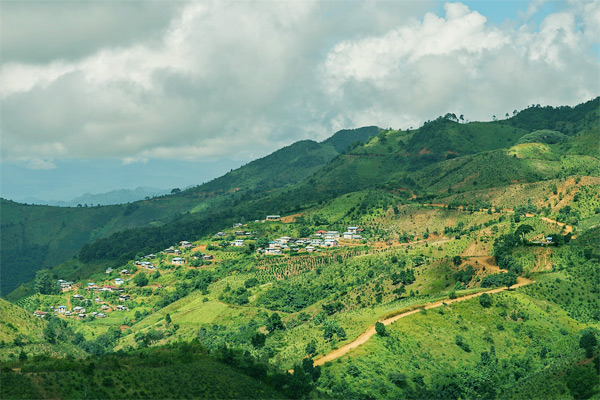 Kalaw